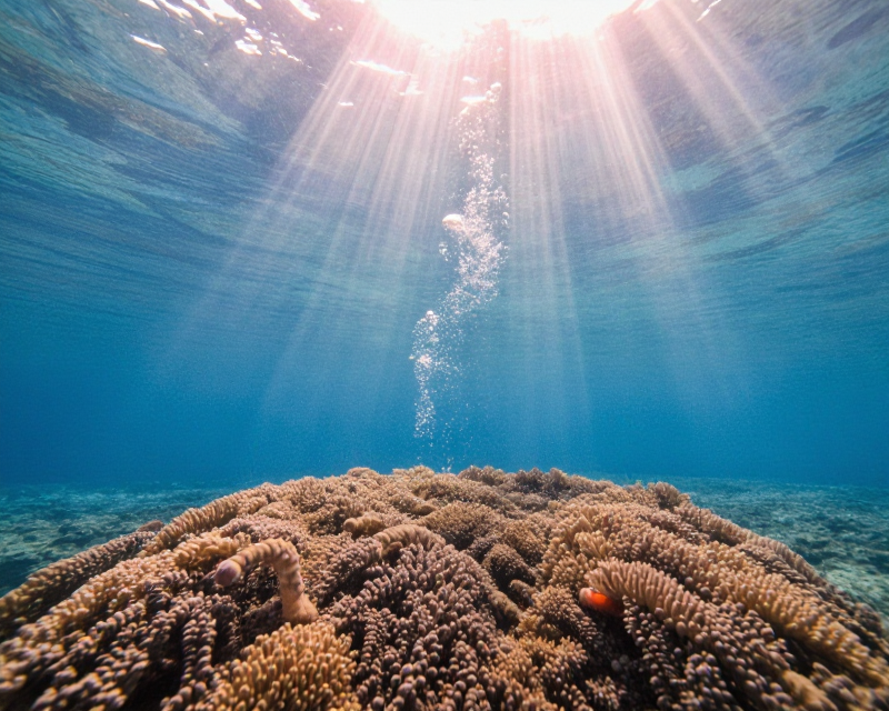Peaceful Underwater Light