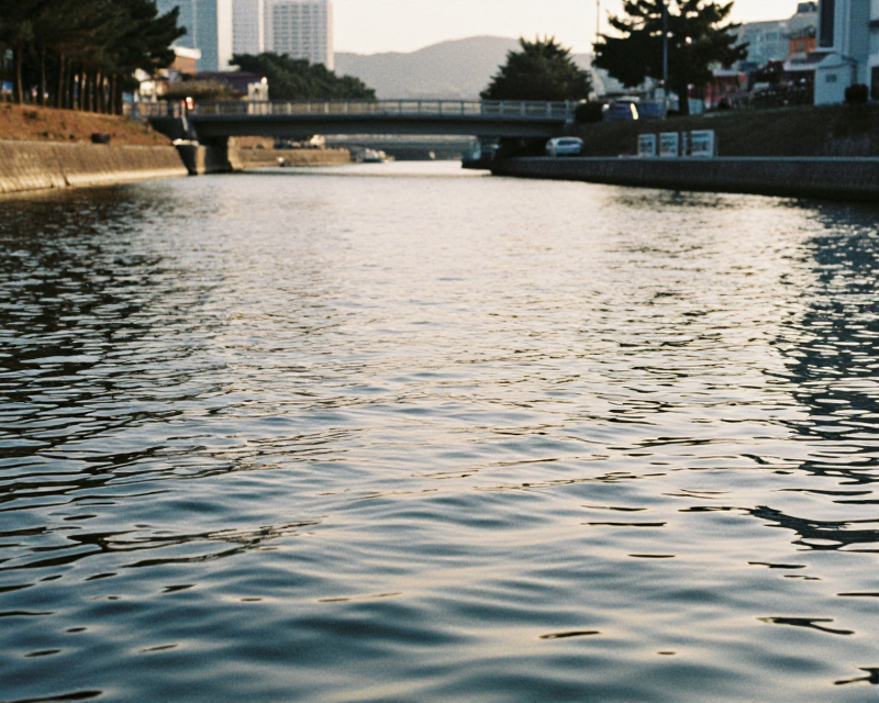 Cinematic Busan Waterfront Scene